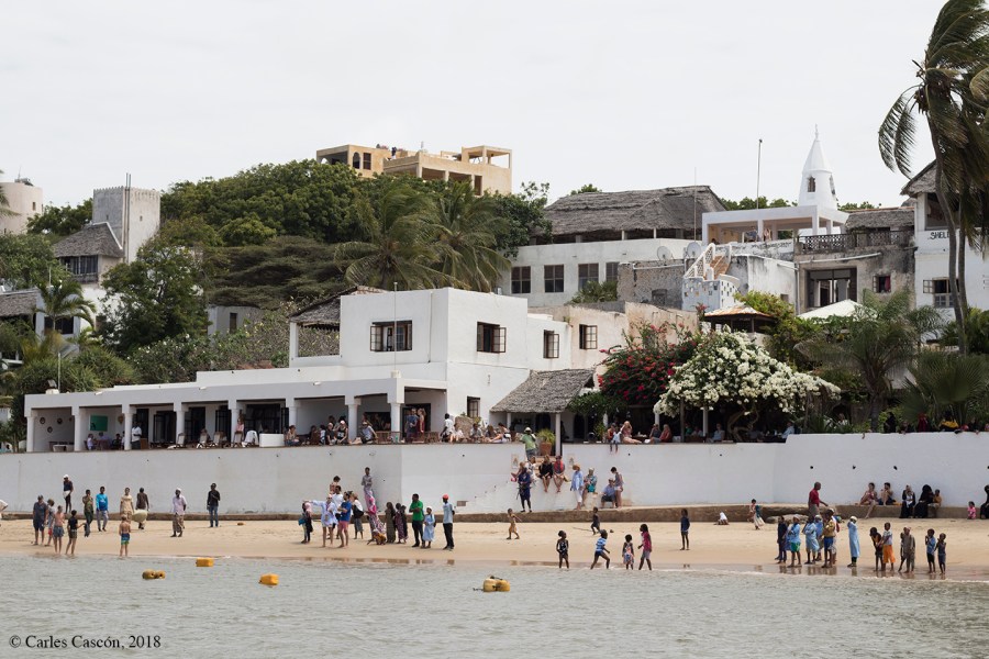 Día de Dhow race en Shela