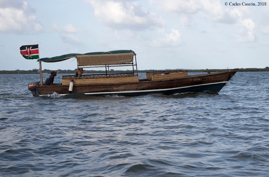 Barco que cubre el trayecto Lamu-Shela